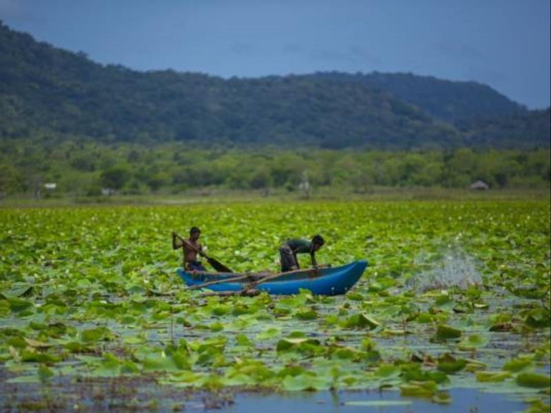 Grand Tamarind Lake Kataragama Extérieur photo
